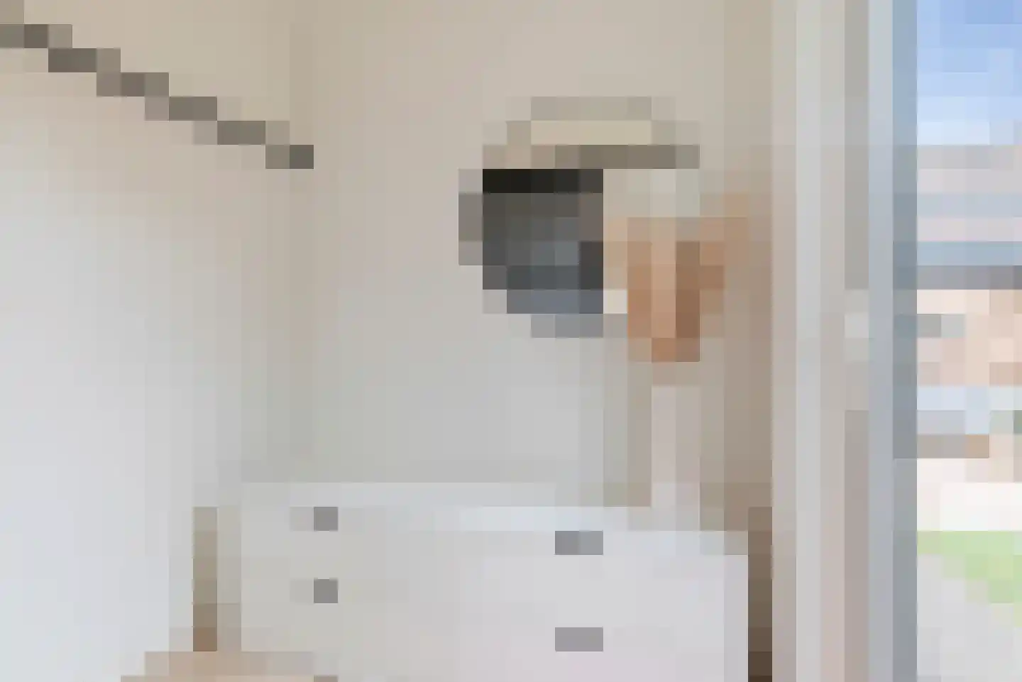 Vogelarij 13 Callantsoog thumbnail 23