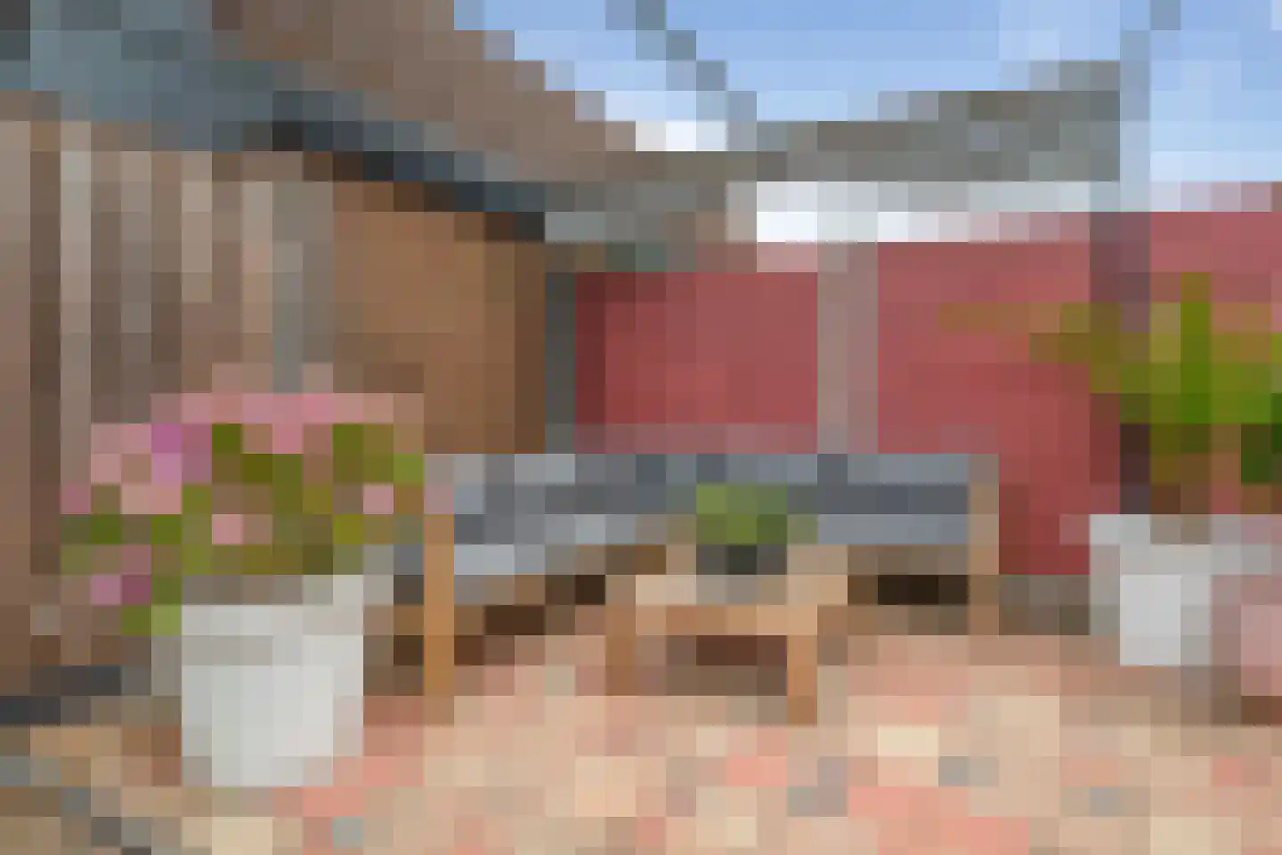 Vogelarij 13 Callantsoog thumbnail 31