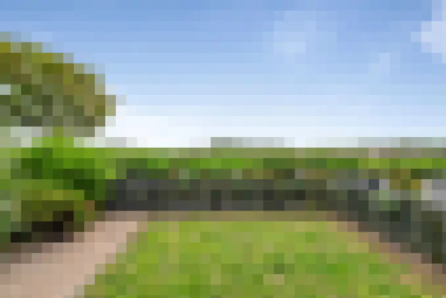 Vogelarij 13 Callantsoog thumbnail 5