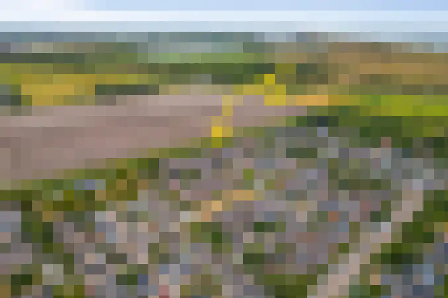 Vogelarij 13 Callantsoog thumbnail 60