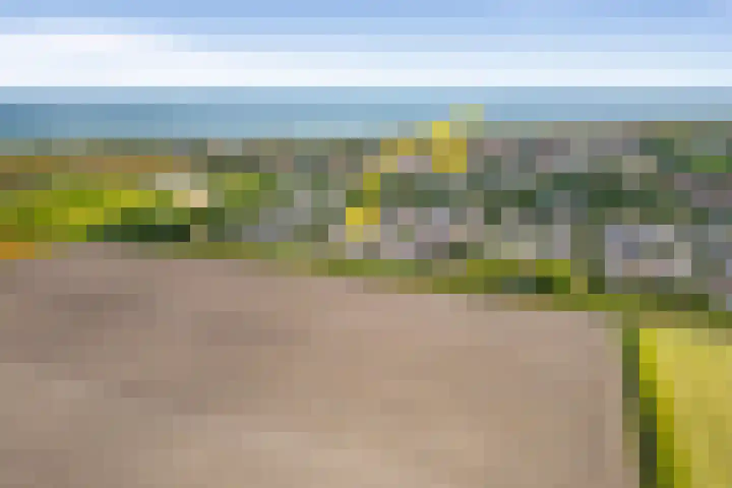 Vogelarij 13 Callantsoog thumbnail 61