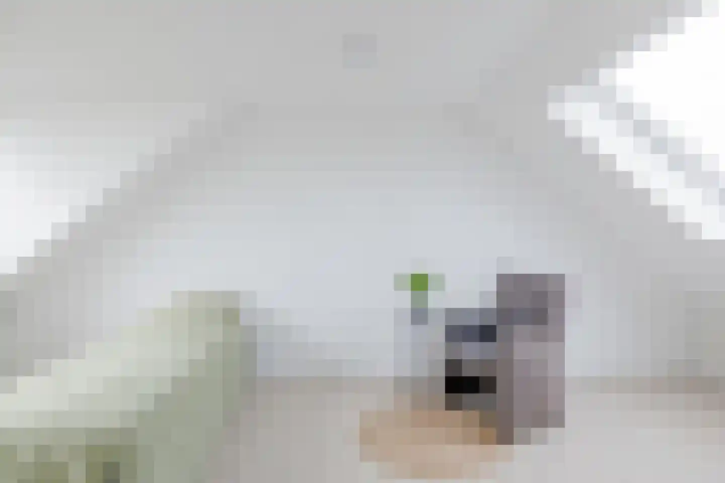 Vogelarij 27 Callantsoog thumbnail 18