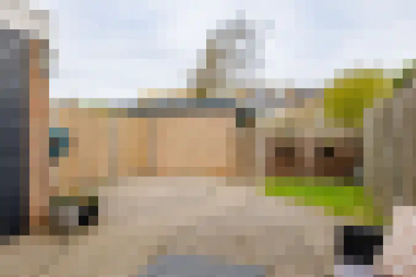 Vogelarij 27 Callantsoog thumbnail 19