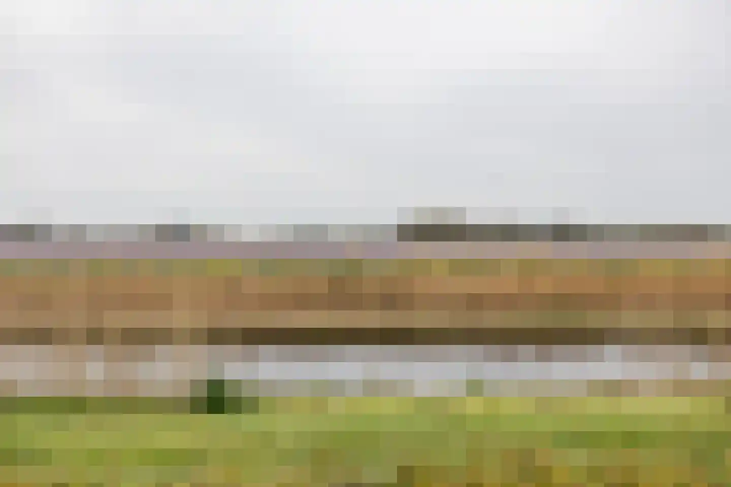 Vogelarij 27 Callantsoog thumbnail 22