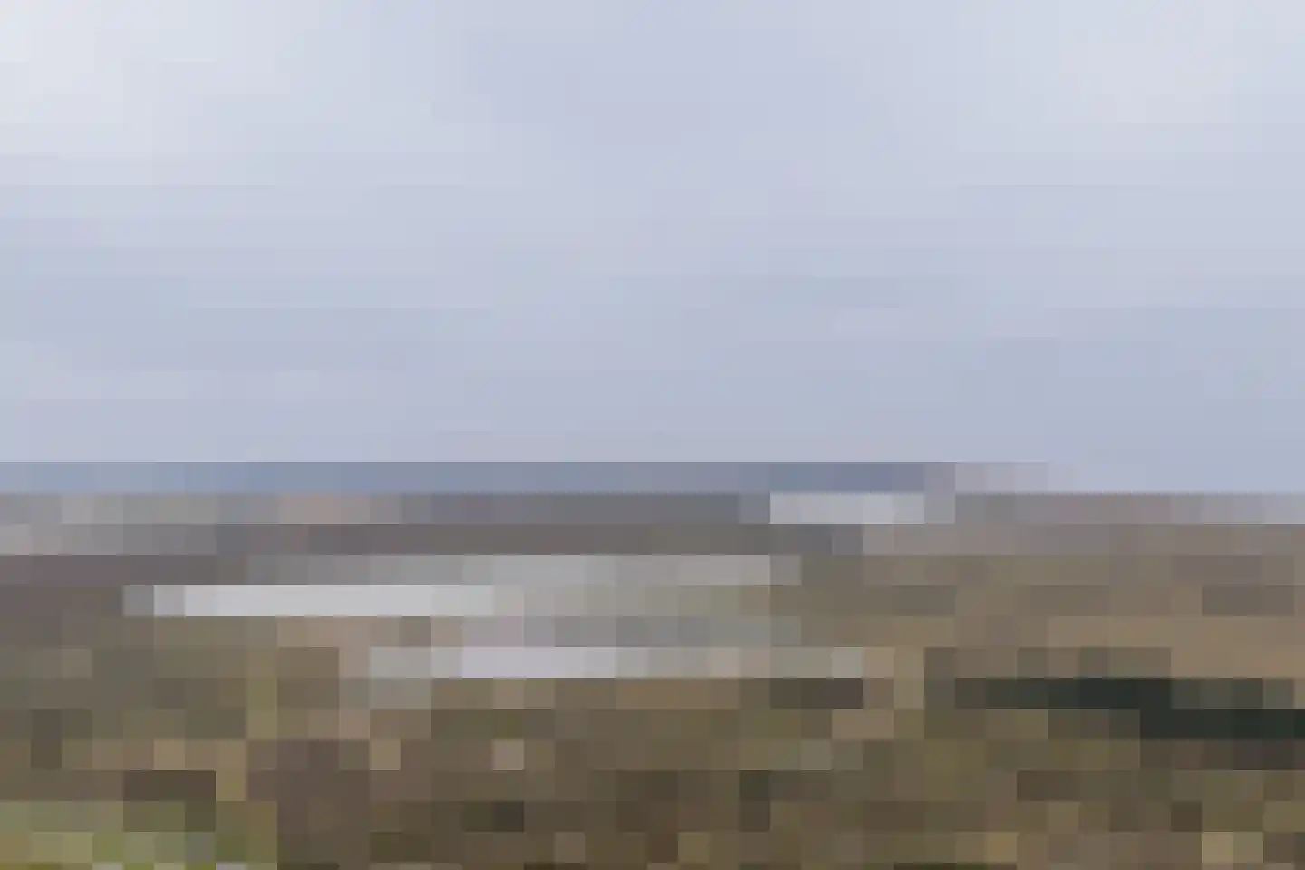 Vogelarij 27 Callantsoog thumbnail 24