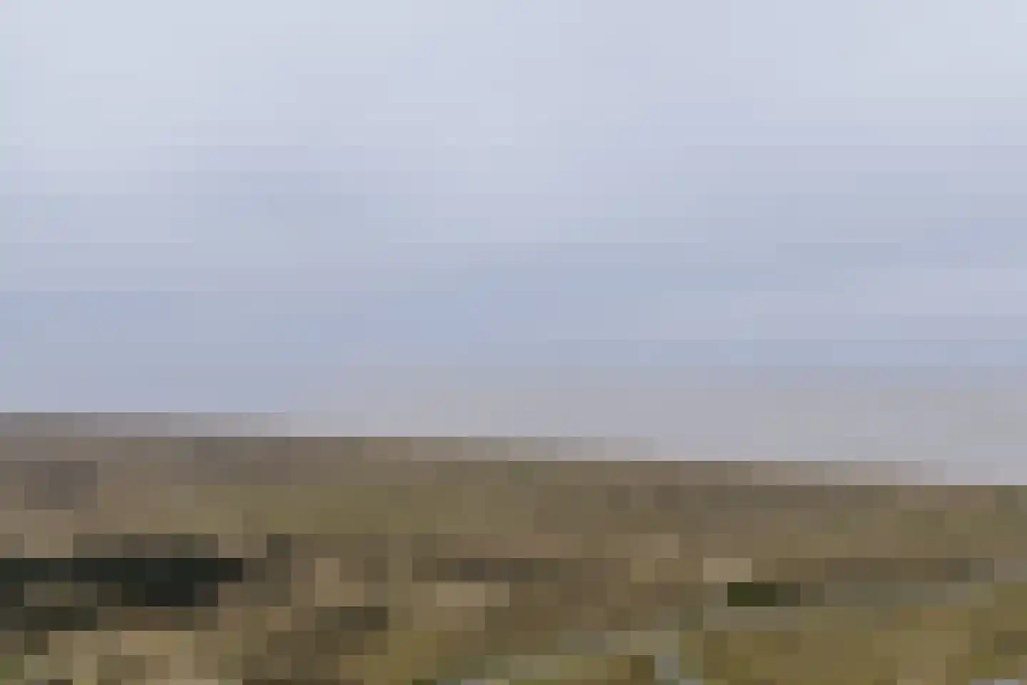 Vogelarij 27 Callantsoog thumbnail 25
