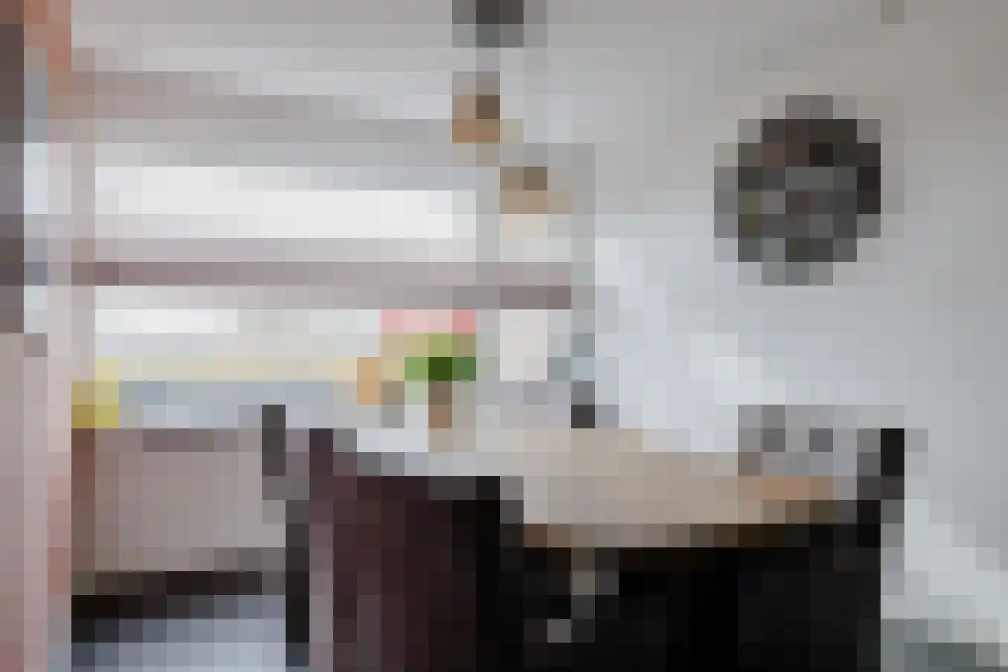 Vogelarij 27 Callantsoog thumbnail 7