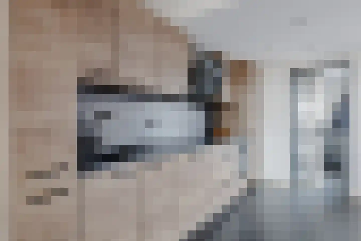 Vogelarij 27 Callantsoog thumbnail 8