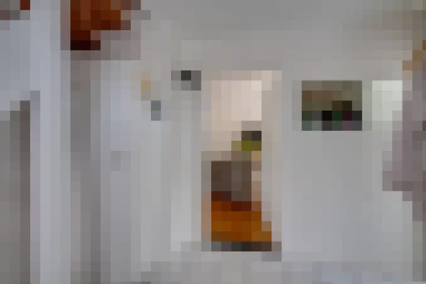 Vogelbos 51 Prinsenbeek thumbnail 11