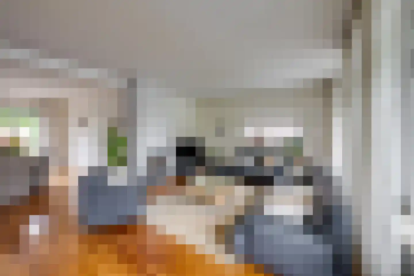 Vogelbos 51 Prinsenbeek thumbnail 13