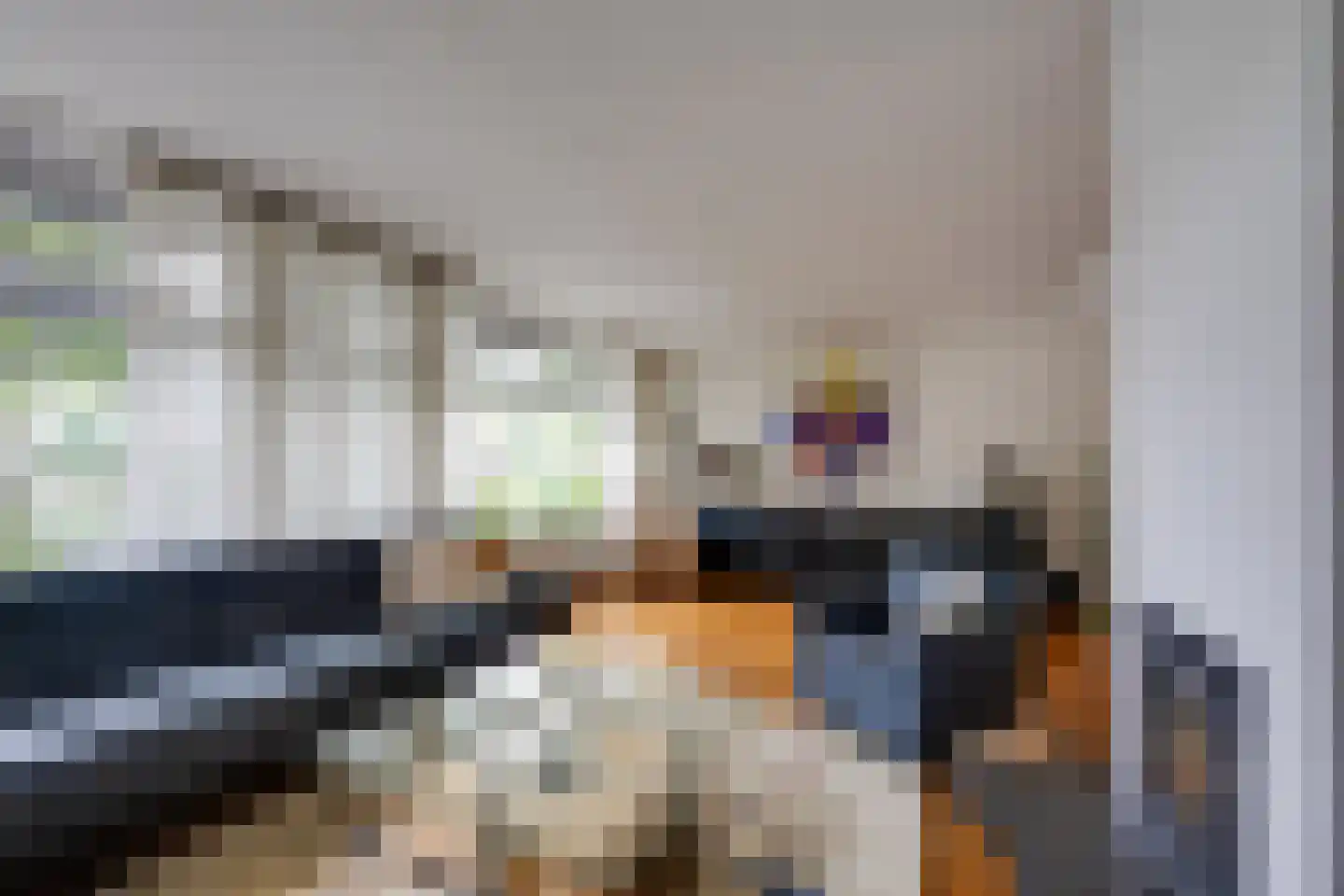 Vogelbos 51 Prinsenbeek thumbnail 14