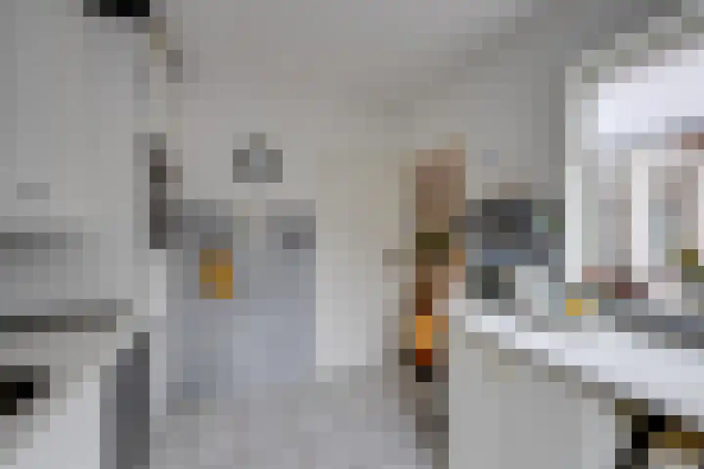 Vogelbos 51 Prinsenbeek thumbnail 20