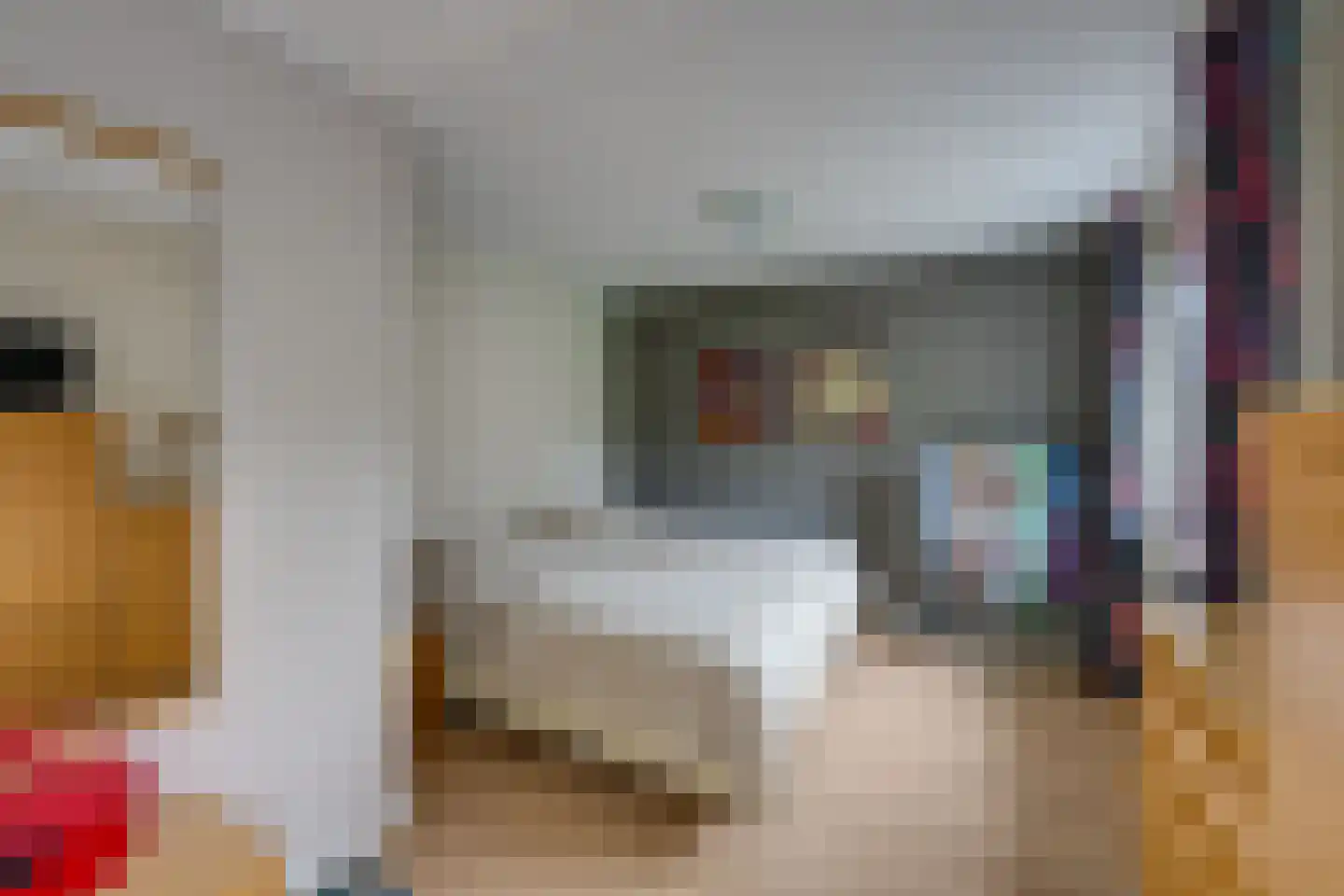 Vogelbos 51 Prinsenbeek thumbnail 22