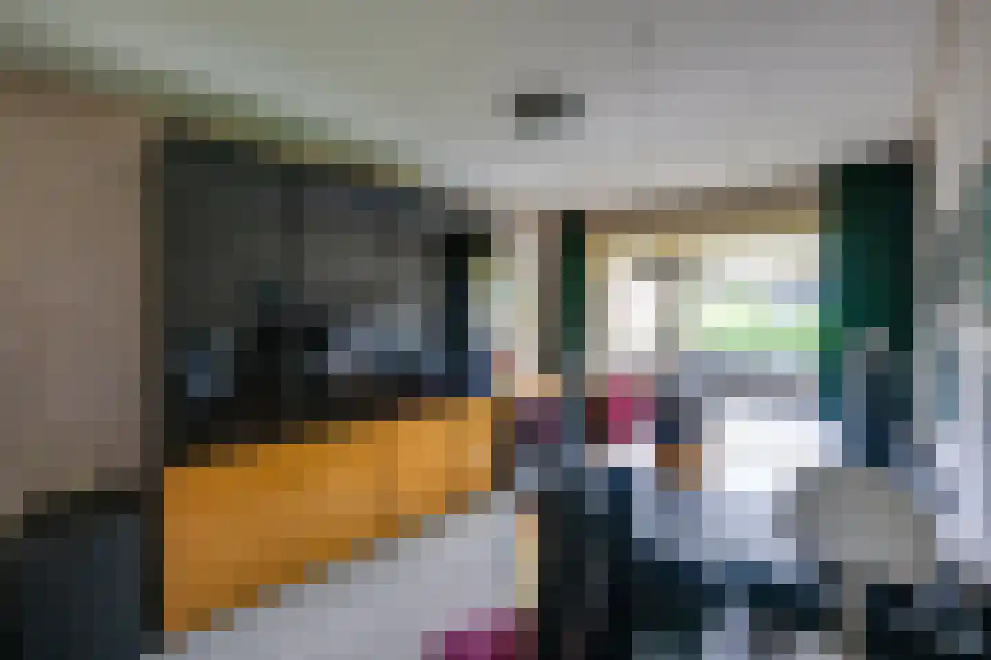 Vogelbos 51 Prinsenbeek thumbnail 26
