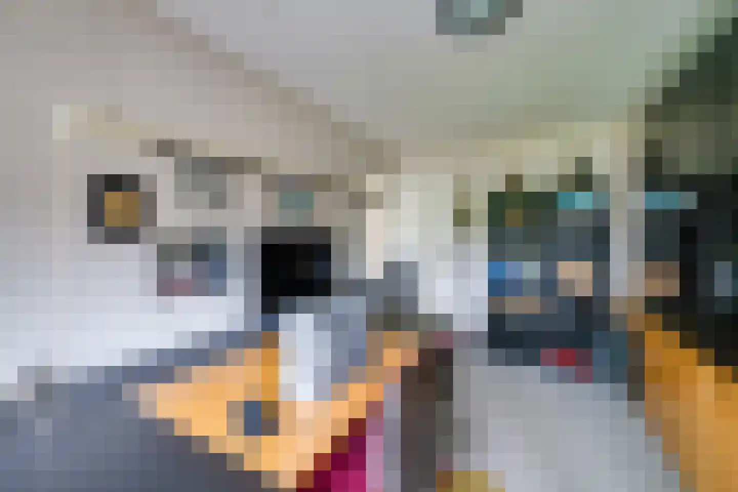 Vogelbos 51 Prinsenbeek thumbnail 27
