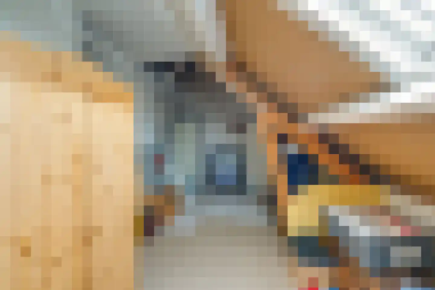 Vogelbos 51 Prinsenbeek thumbnail 37