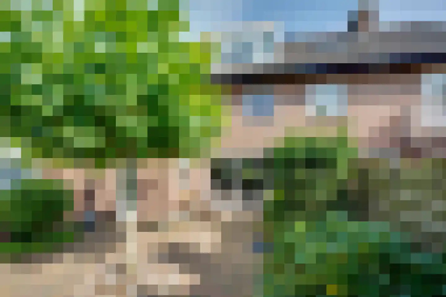 Vogelbos 51 Prinsenbeek thumbnail 38