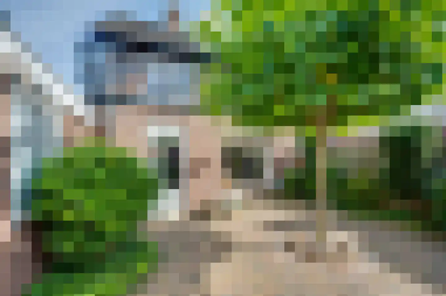 Vogelbos 51 Prinsenbeek thumbnail 39