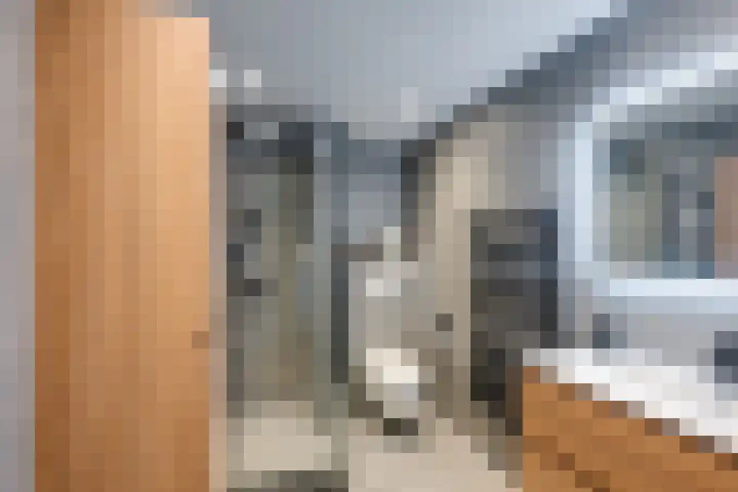 Vogelbos 51 Prinsenbeek thumbnail 4