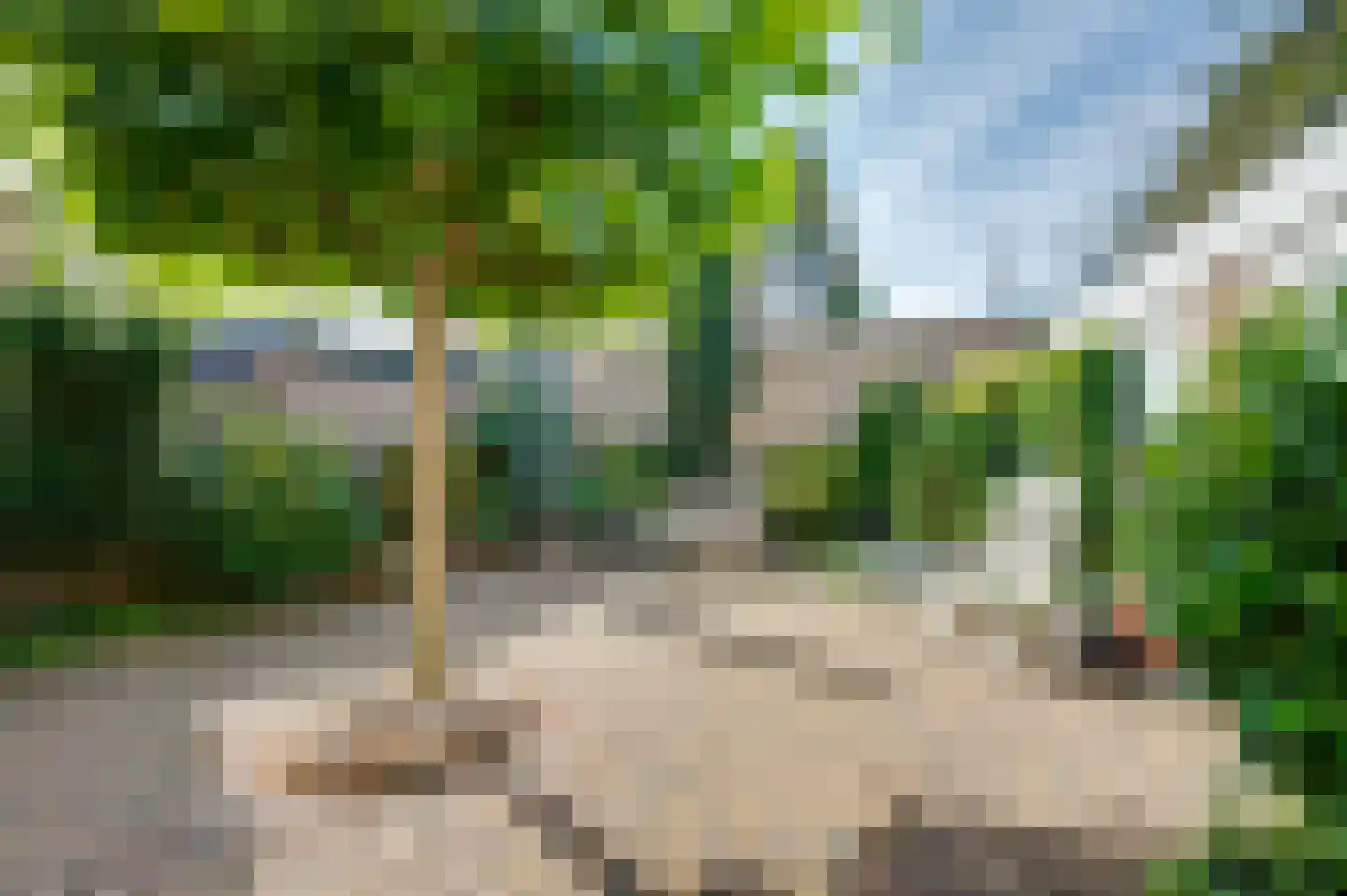 Vogelbos 51 Prinsenbeek thumbnail 40