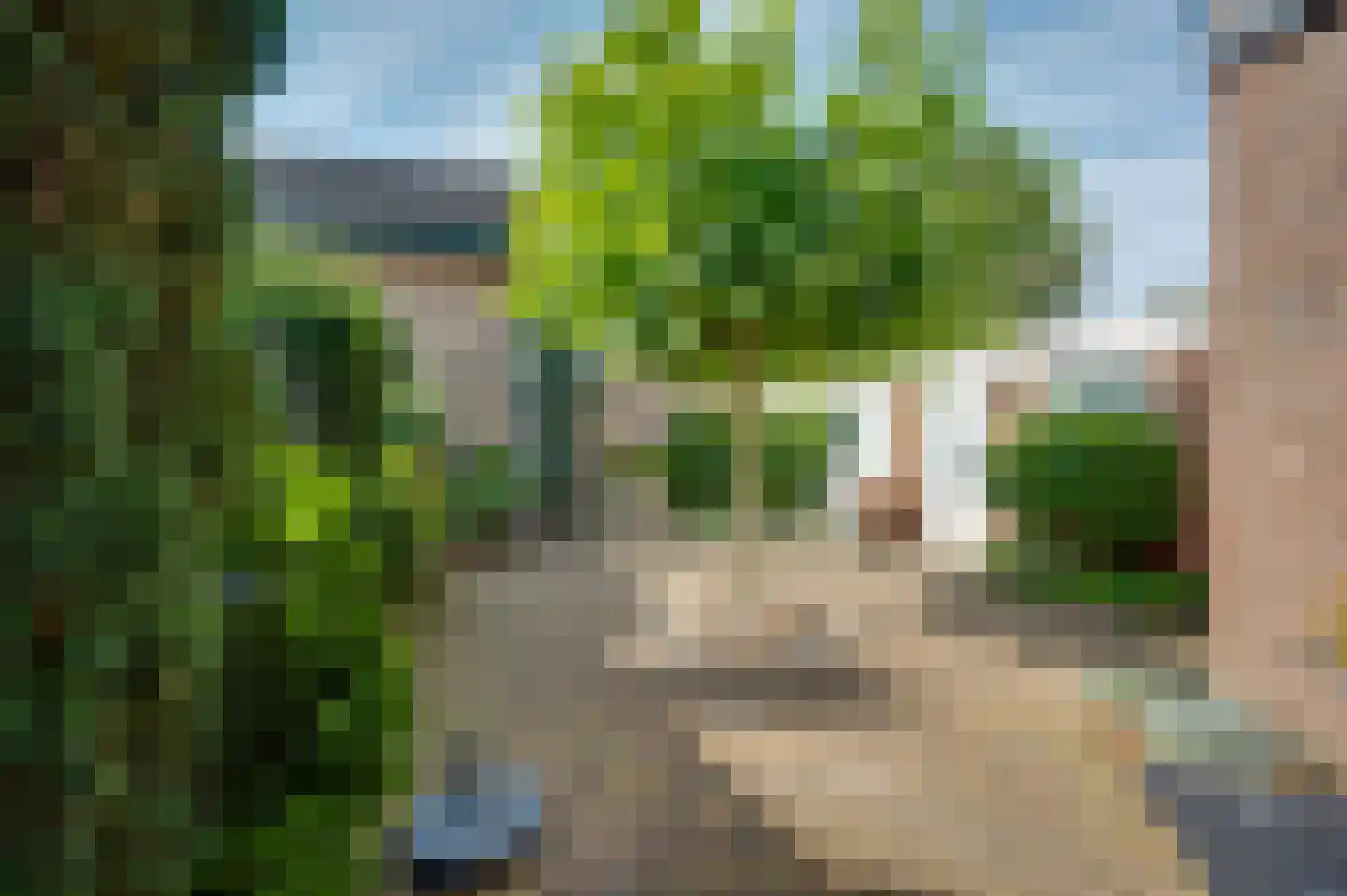 Vogelbos 51 Prinsenbeek thumbnail 41
