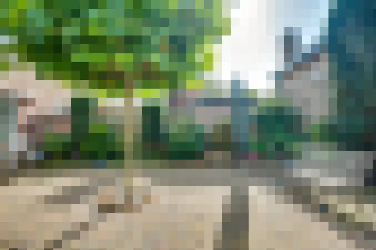 Vogelbos 51 Prinsenbeek thumbnail 43