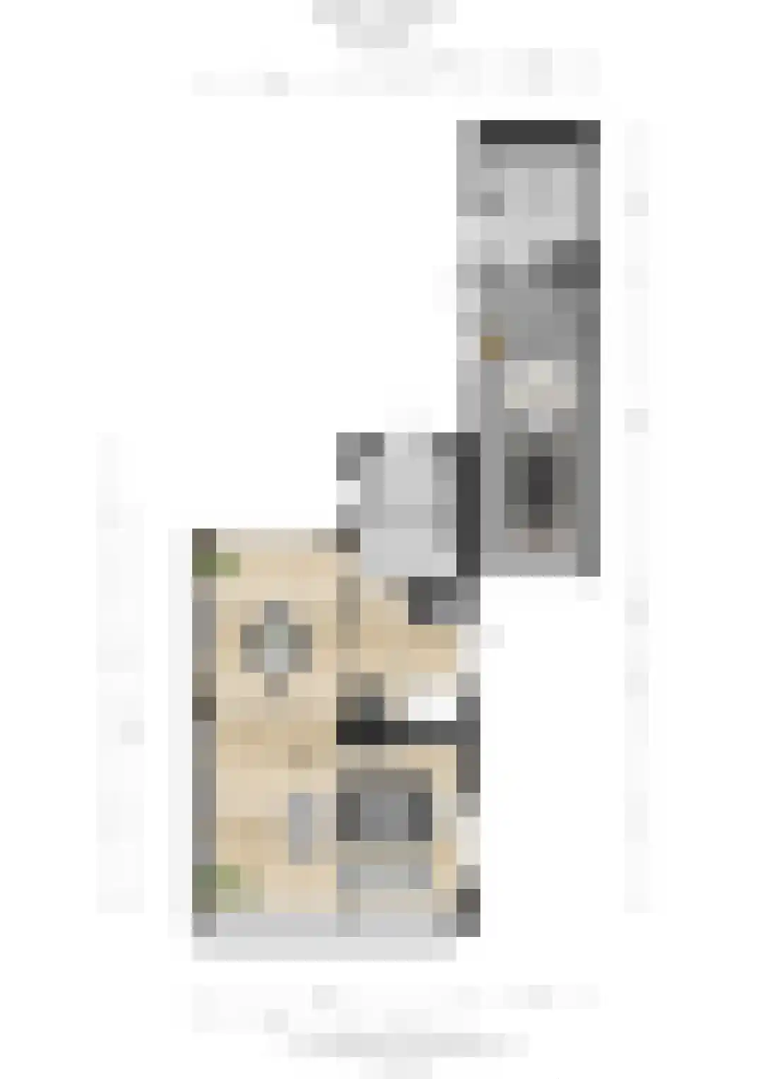 Vogelbos 51 Prinsenbeek thumbnail 44