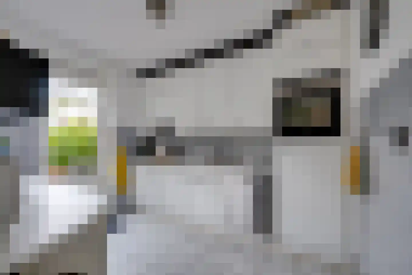 Vogelbos 51 Prinsenbeek thumbnail 6