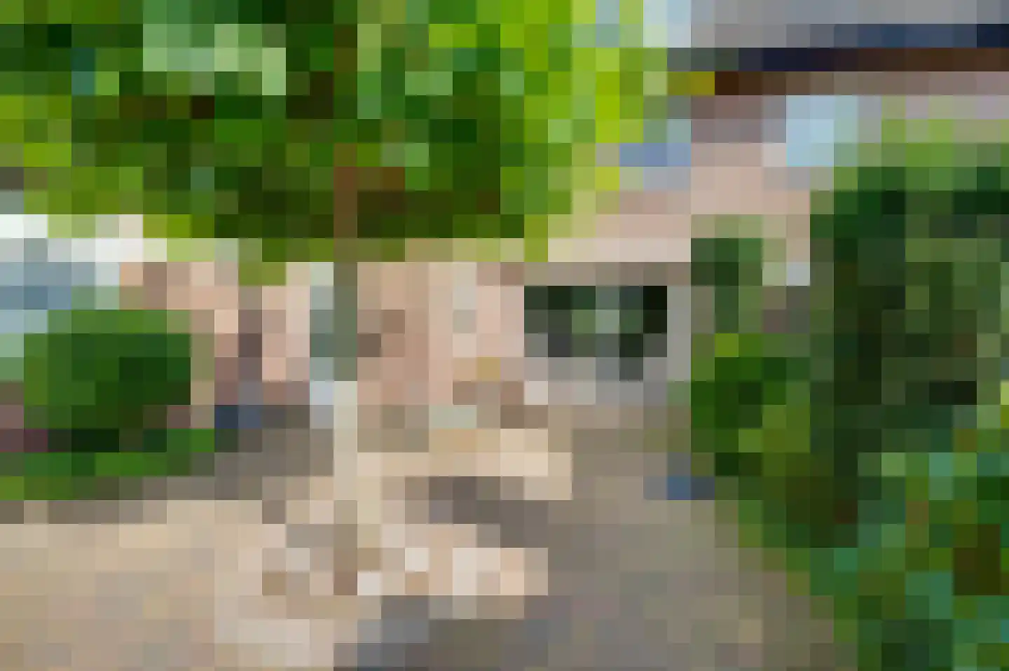 Vogelbos 51 Prinsenbeek thumbnail 7