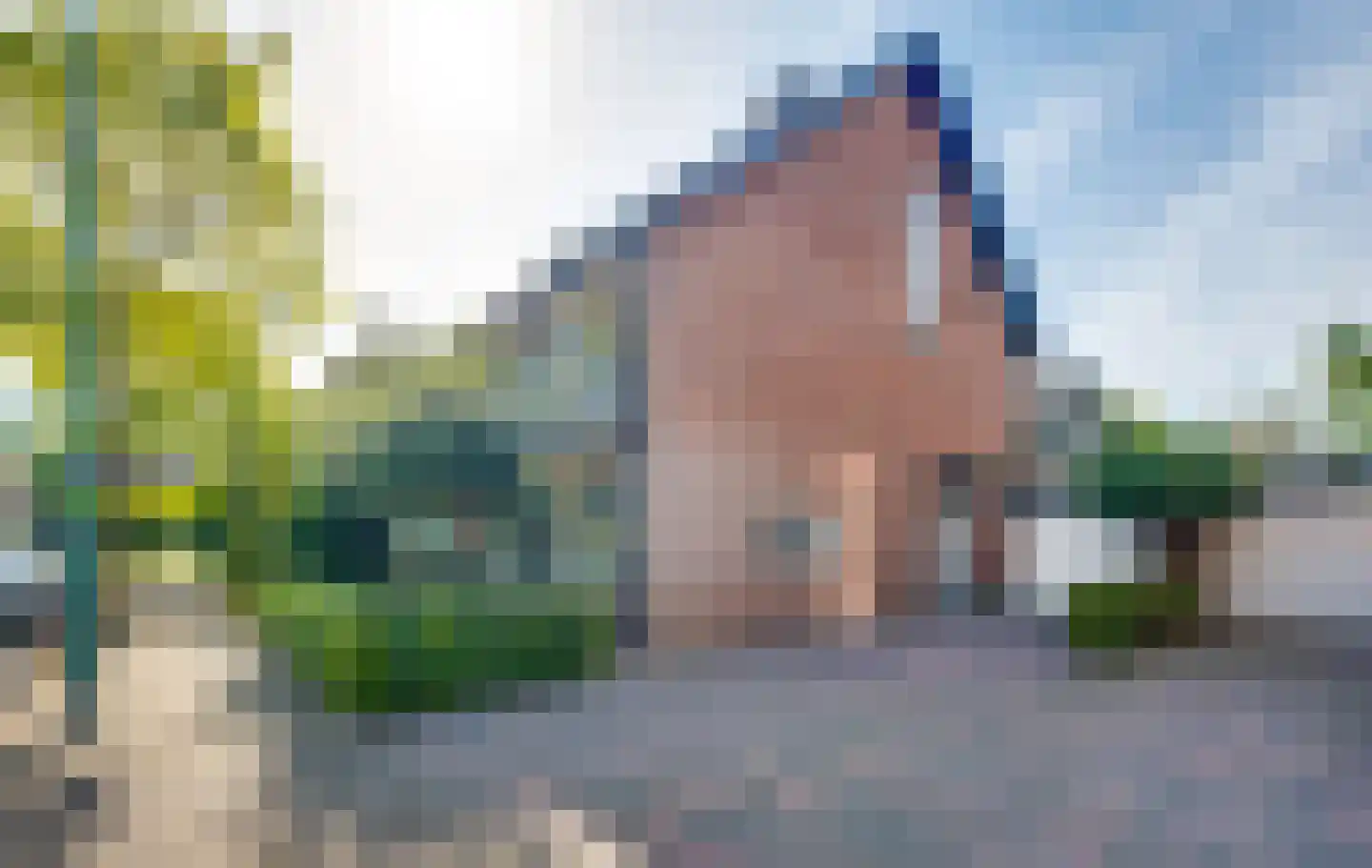 Vogelbos 51 Prinsenbeek thumbnail 8