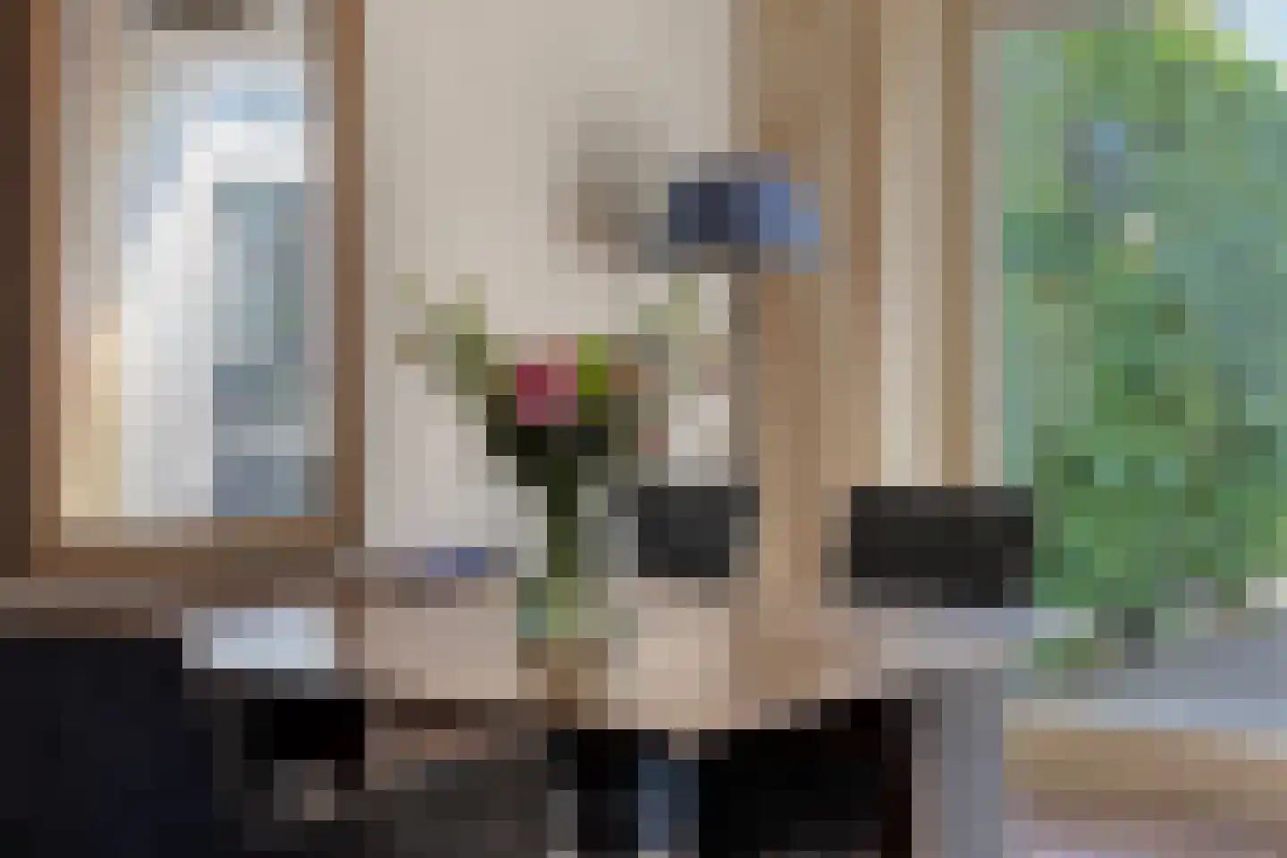 Vogelbos 59 Prinsenbeek thumbnail 12