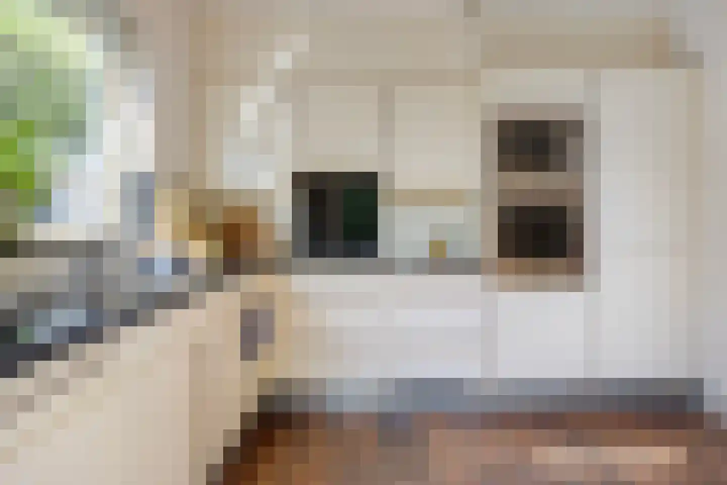 Vogelbos 59 Prinsenbeek thumbnail 14