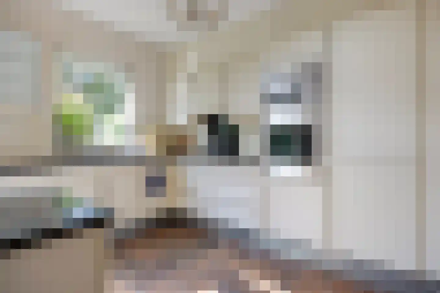 Vogelbos 59 Prinsenbeek thumbnail 15