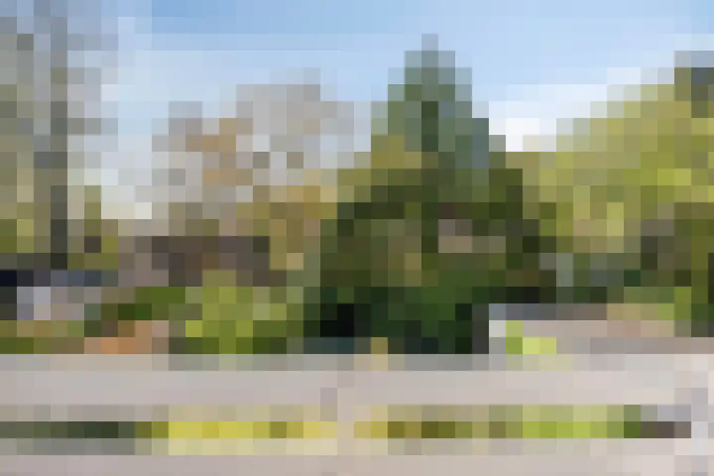 Vogelbos 59 Prinsenbeek thumbnail 28