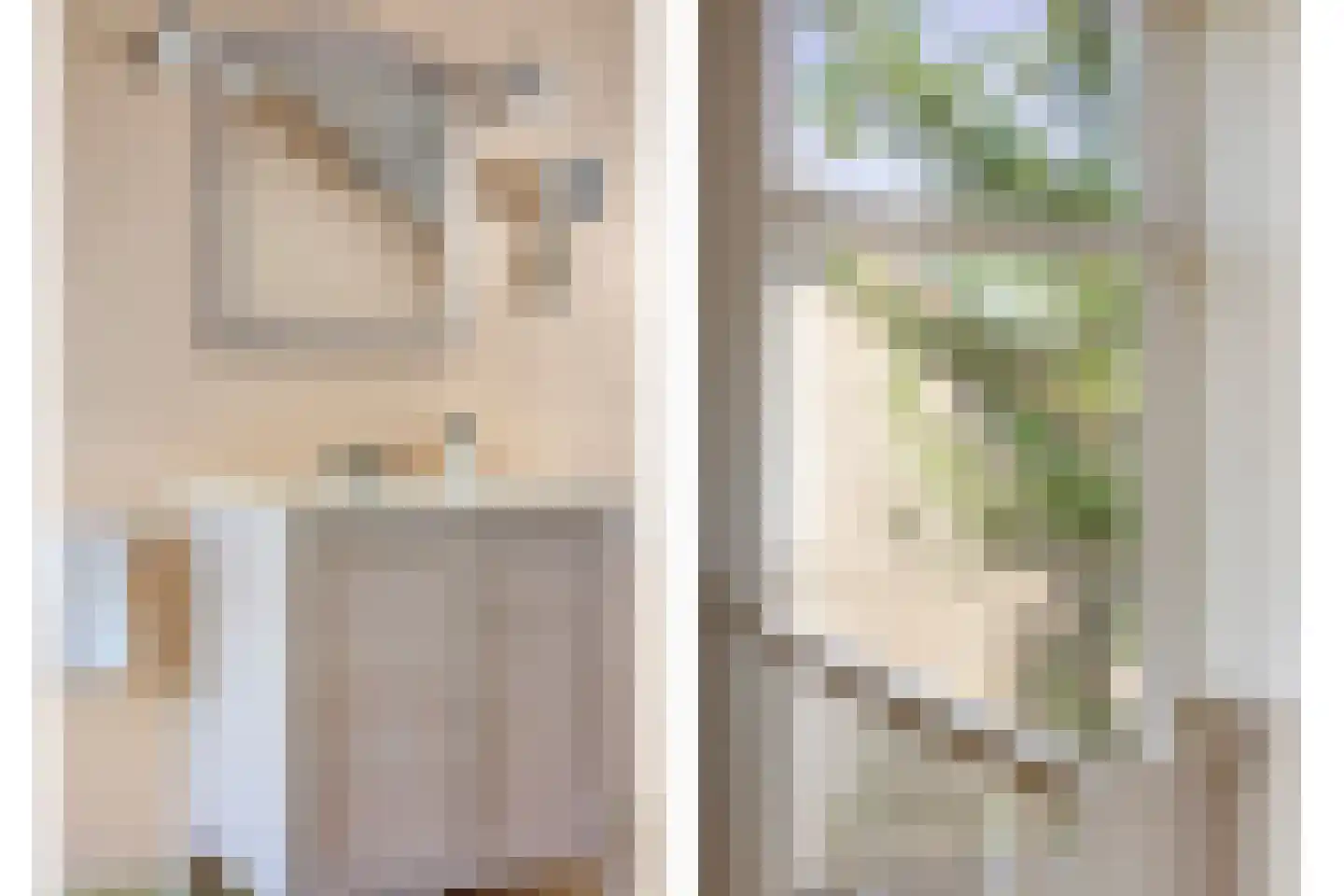 Vogelbos 59 Prinsenbeek thumbnail 36