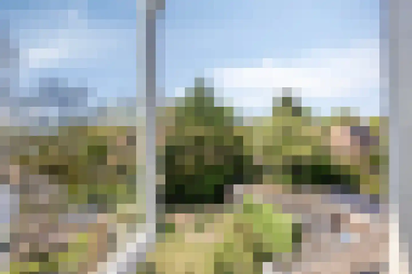 Vogelbos 59 Prinsenbeek thumbnail 37