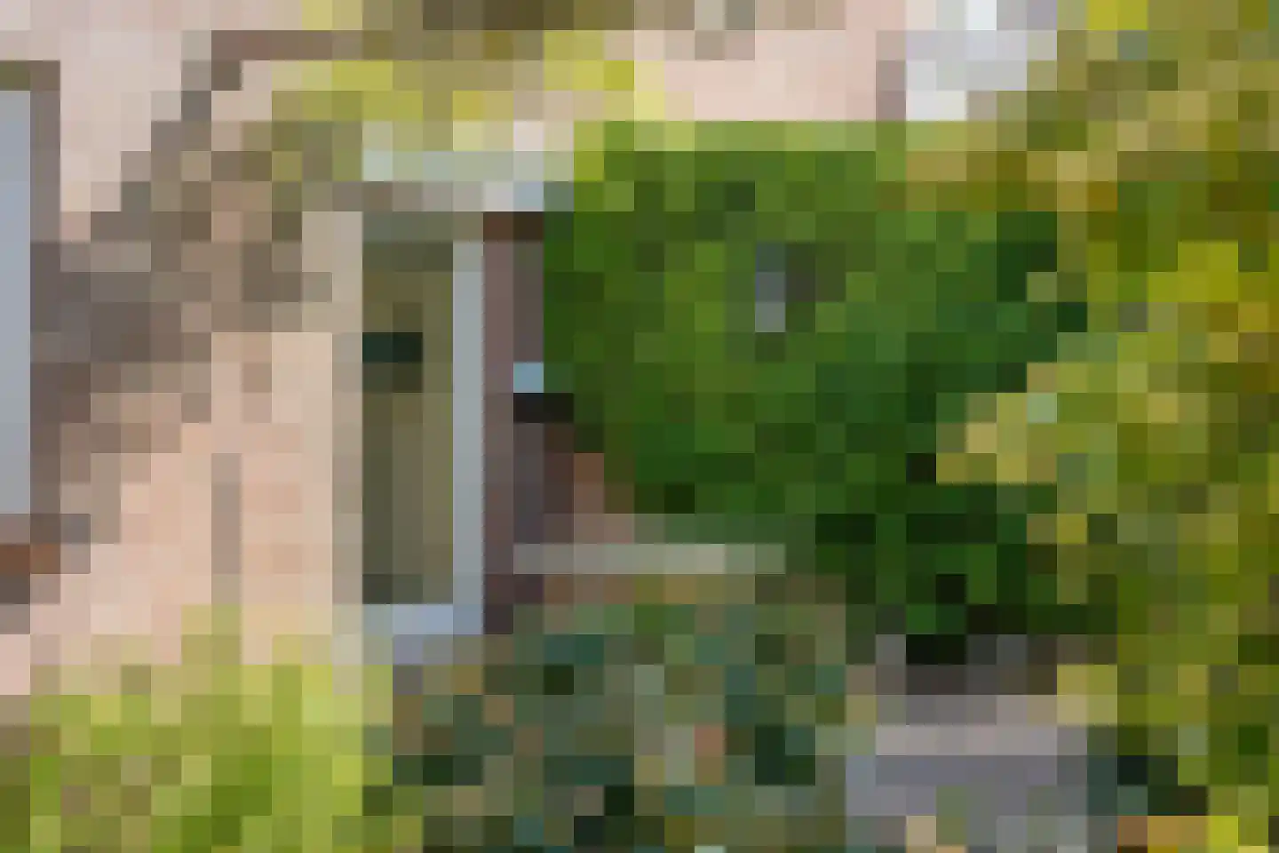 Vogelbos 59 Prinsenbeek thumbnail 41
