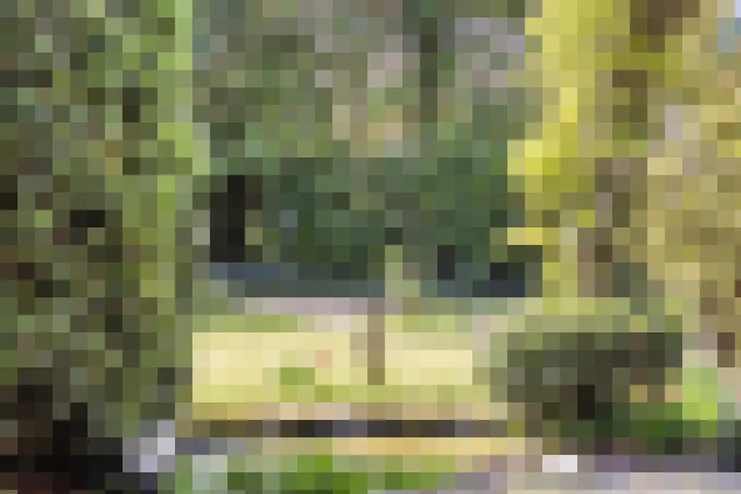 Vogelbos 59 Prinsenbeek thumbnail 42