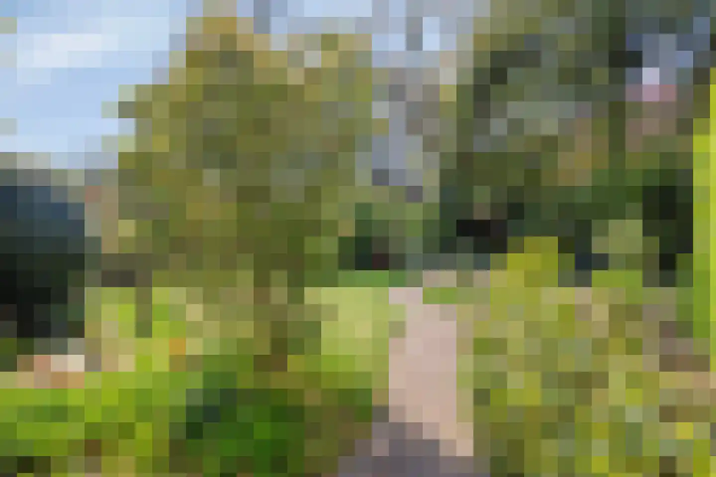 Vogelbos 59 Prinsenbeek thumbnail 43