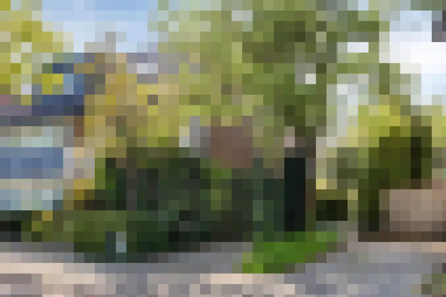 Vogelbos 59 Prinsenbeek thumbnail 45