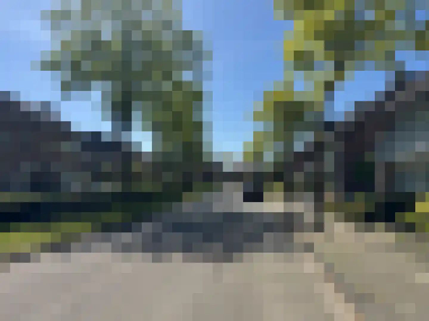 Vogelbos 59 Prinsenbeek thumbnail 50