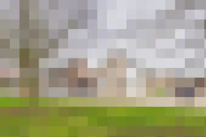 Vogeldijkstraat 3 Axel thumbnail 5