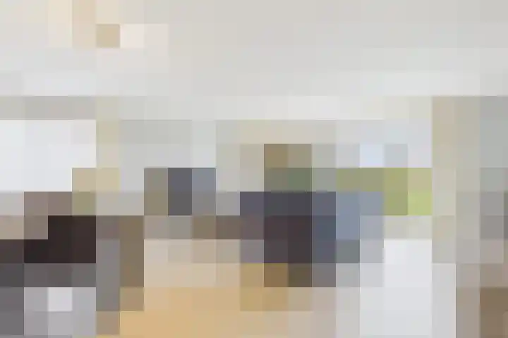 Vogeldijkstraat 3 Axel thumbnail 6