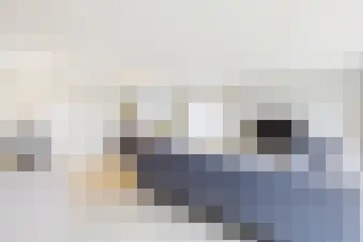 Vogeldijkstraat 3 Axel thumbnail 8