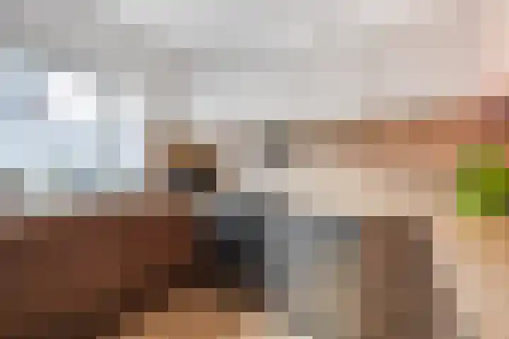 Vogeldreef 5 Zoetermeer thumbnail 10