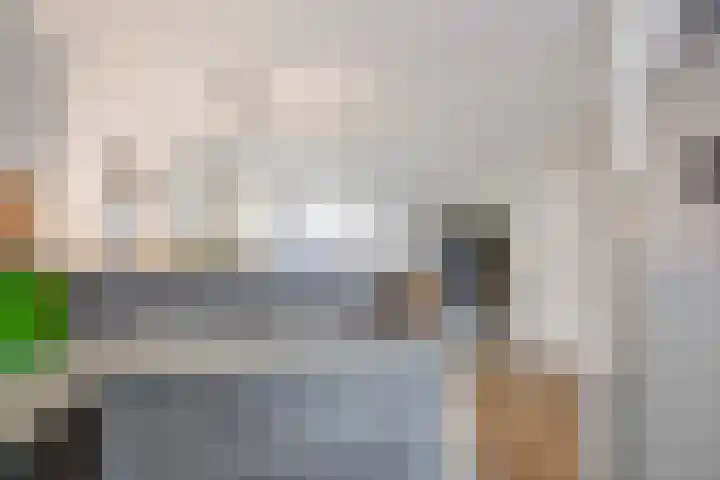 Vogeldreef 5 Zoetermeer thumbnail 12