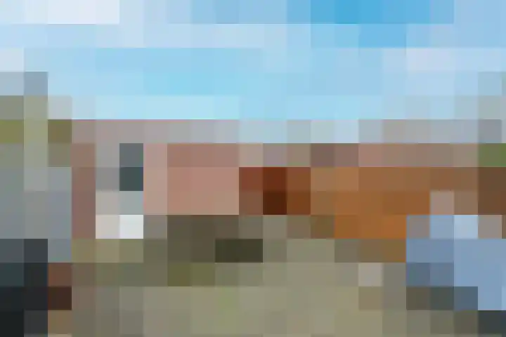 Vogeldreef 5 Zoetermeer thumbnail 16