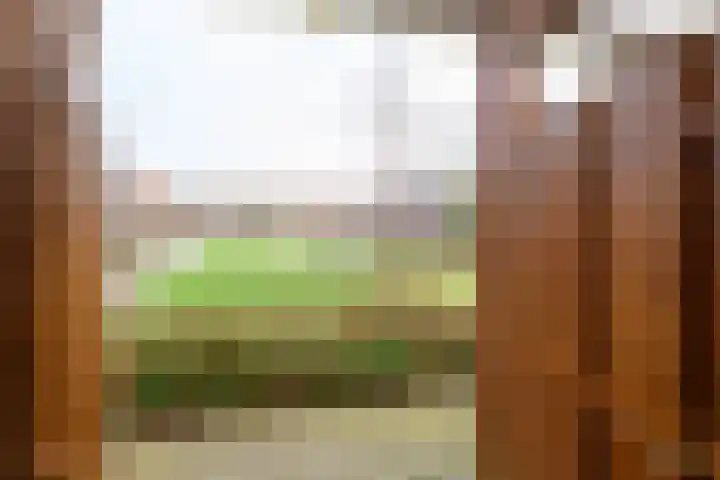 Vogeldreef 5 Zoetermeer thumbnail 19