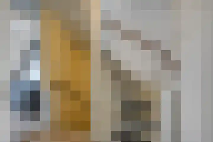 Vogeldreef 5 Zoetermeer thumbnail 20