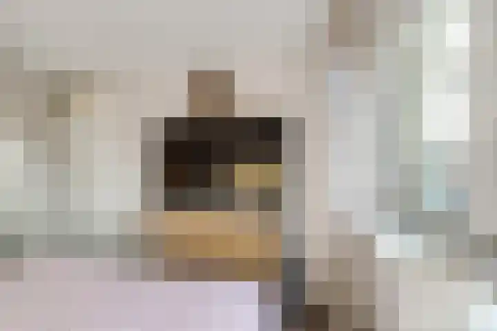 Vogeldreef 5 Zoetermeer thumbnail 23